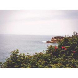 Sleek Paper Bench fr-FR